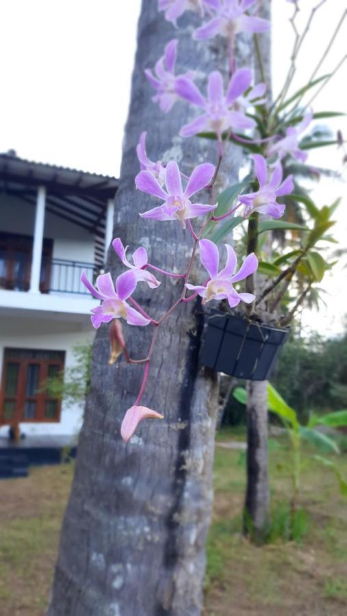 Mellow Villa Tangalle Dış mekan fotoğraf
